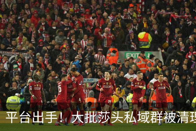 平台出手！大批莎头私域群被清理，饭圈乱象整治，全网纷纷叫好